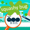 SQUASHY BUG